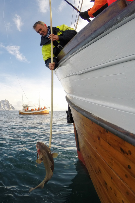 Lofoten: Traditional Fishing Trip - What the four-hour trip feels like