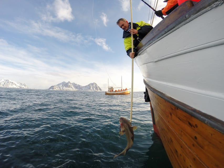 Lofoten: Traditional Fishing Trip - Why the small group matters