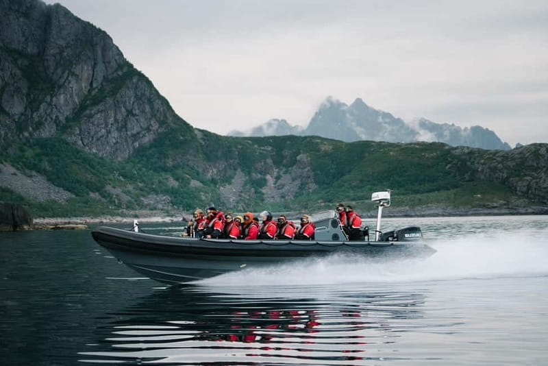 Lofoten: Trollfjord Sea Eagle Safari by RIB Boat - Why this RIB tour works so well in Lofoten