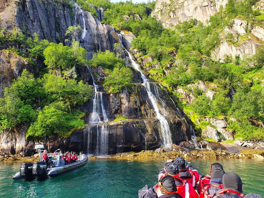 Lofoten: Trollfjord Sea Eagle Safari by RIB Boat - What makes the price worthwhile