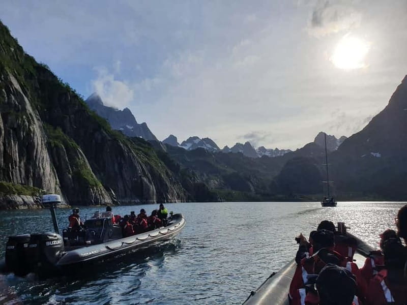 Lofoten: Trollfjord Sea Eagle Safari by RIB Boat - Starting in Sjømannsgata 5