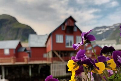 Lofoten VIP PRIVATE Tour from Leknes city / port