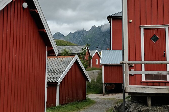 Lofoten VIP PRIVATE Tour from Leknes city / port - Reinehalsen and the Reinefjorden view