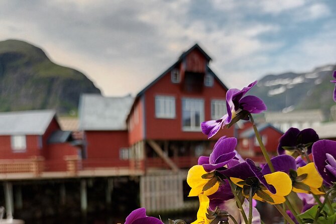 Lofoten VIP PRIVATE Tour from Leknes city / port - Haukland Beach and the first taste of Lofoten