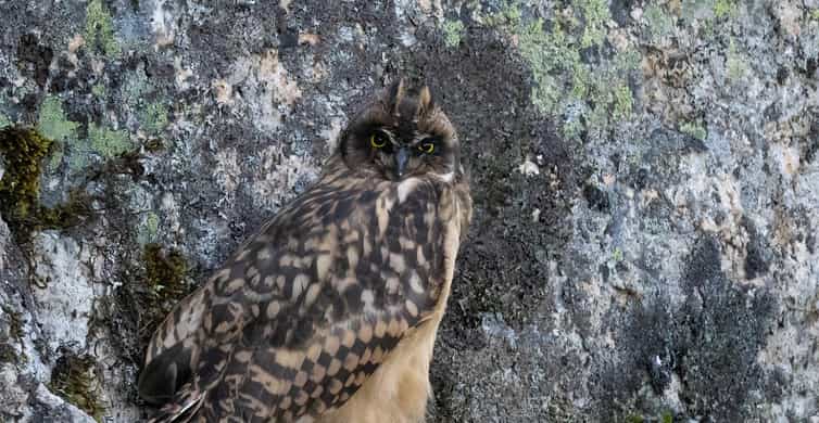Lofoten: Wildlife Safari - Why the small group matters in the car