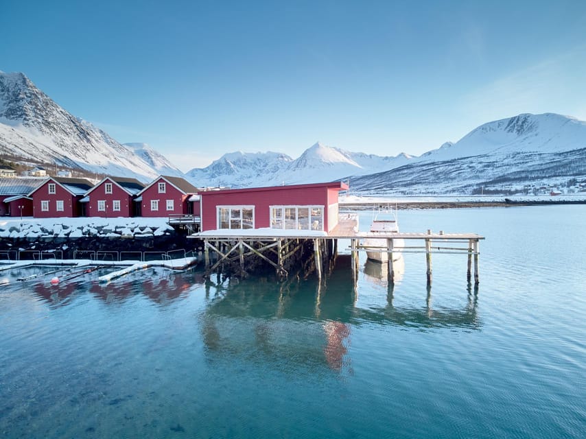 Lyngen: Snowmobile Safari with Lunch in seaside Restaurant - Animal tracks and a possible sea otter sighting