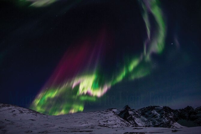 Marianne’s Heaven On Earth Aurora Chaser Tours - The value of the $291.52 price