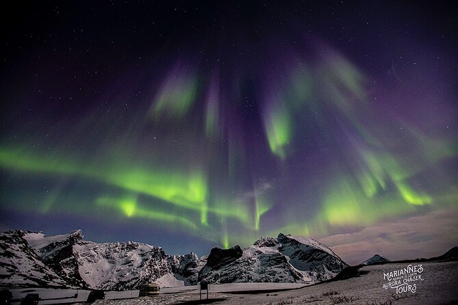 Marianne’s Heaven On Earth Aurora Chaser Tours - Practical details before you reserve