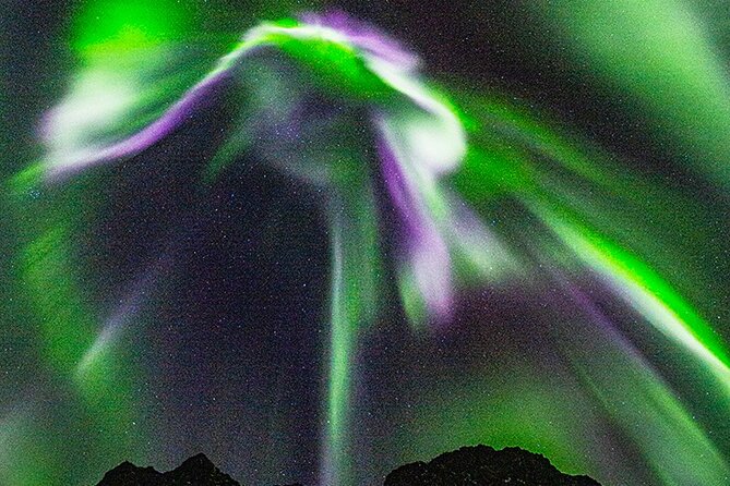 Marianne’s Heaven On Earth Aurora Chaser Tours - From Tromso streets to dark fjord country