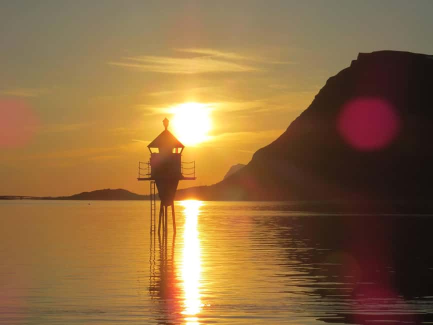 Midnight sun safari - Key points to know before booking