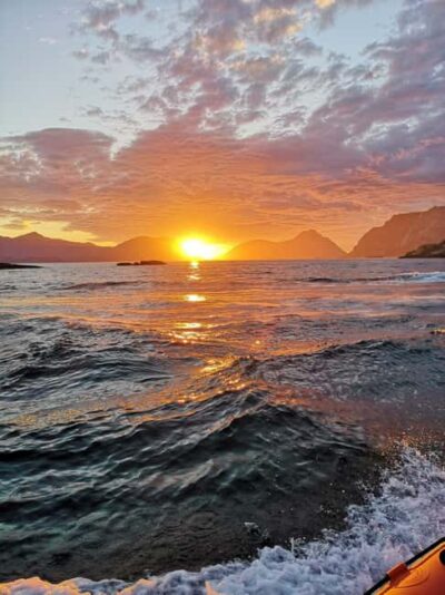 Midnight sun safari