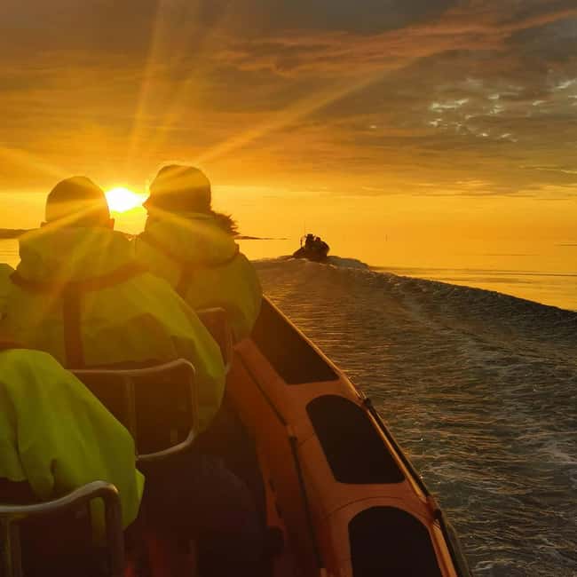 Midnight sun safari - What the wildlife sightings are really worth
