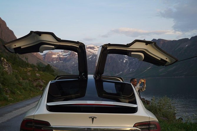 Midnightsun- Eco friendly Tesla Model X - Who will enjoy this outing most