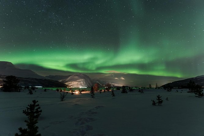 Minibus Northern Lights Chase with Photography from Tromsø - Staying warm in the Arctic night