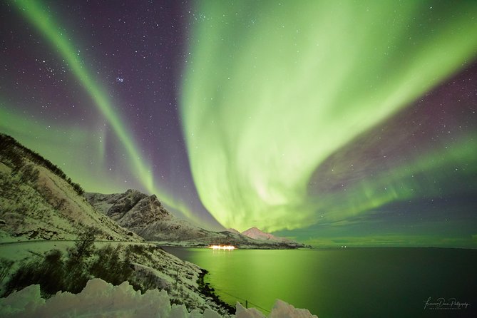 Minivan Northern Lights excursion (8 guests per minivan) - Why the minivan matters on a Tromsø aurora chase