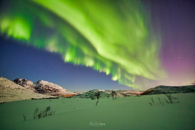 Minivan Northern Lights excursion (8 guests per minivan) - What the guides add to the evening