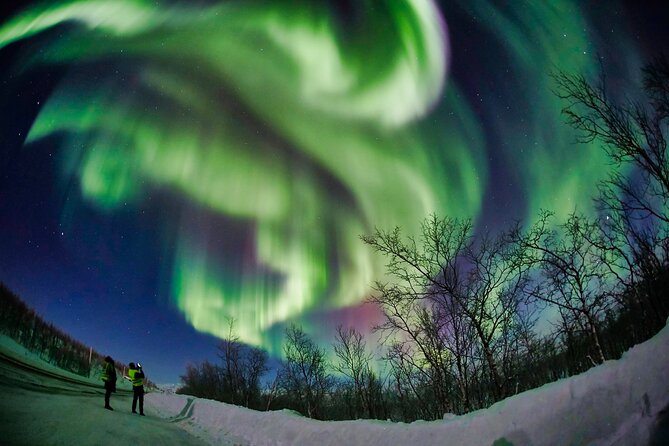 Minivan Northern Lights excursion (8 guests per minivan) - Tea, muffins, and staying warm outside