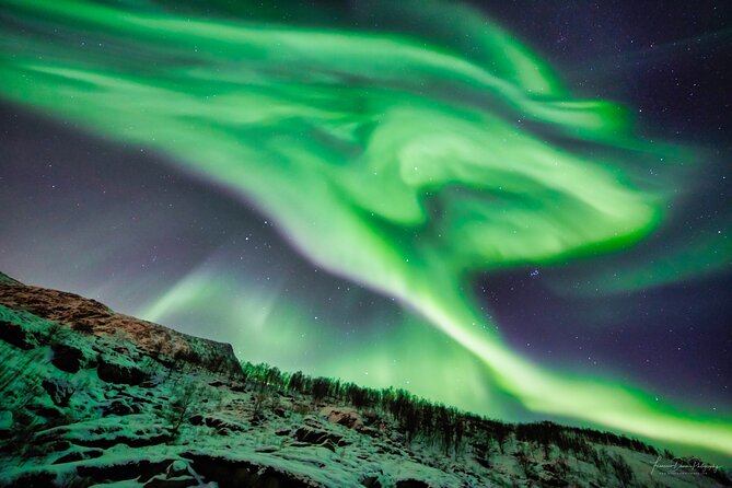 Minivan Northern Lights excursion (8 guests per minivan) - The price and what you are really paying for