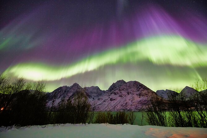 Minivan Northern Lights excursion (8 guests per minivan) - The honest risk: nature may win