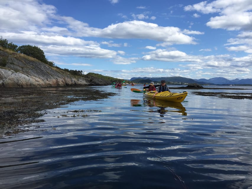 Molde - Guided kayak tour - Key points to know before booking