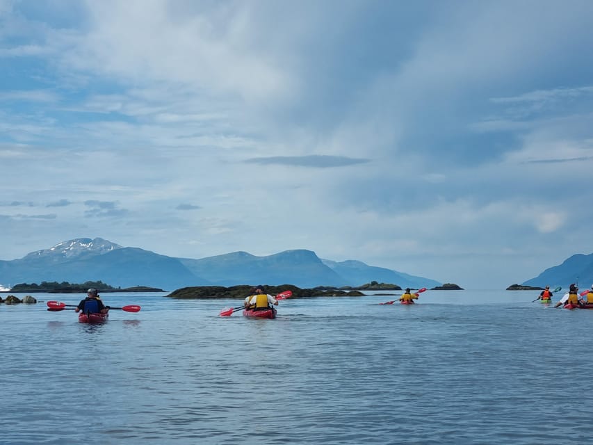 Molde - Guided kayak tour - Who should book this Molde kayak tour?