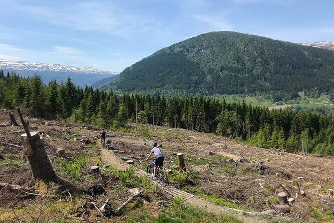 Mountain Bike - Voss Storålsen - Berms, rollers, roots, and rock rolls