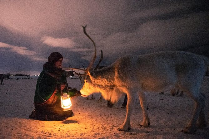 Night Reindeer Sledding with Camp Dinner and Chance of Northern Lights - A three-course meal inside the gamme