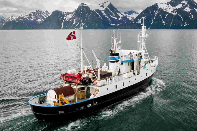Northern Light cruise on the vintage vessel MS Strønstad - Drinks, biscuits, and the onboard kiosk