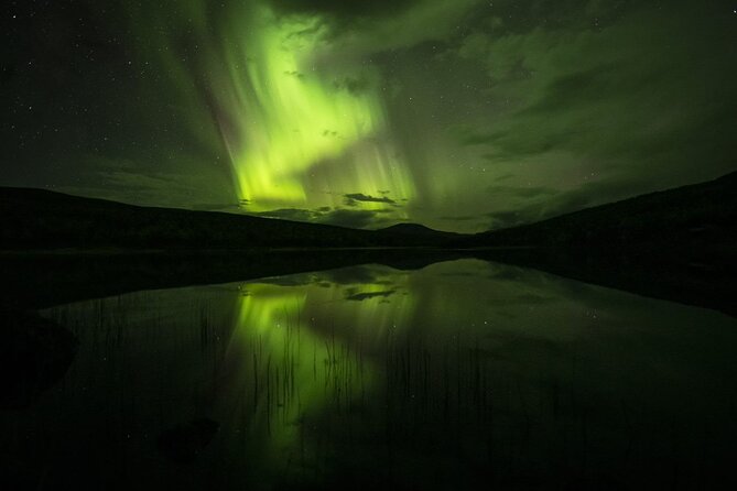 Northern Light cruise on the vintage vessel MS Strønstad - Is $141.40 a fair price?