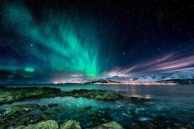 Northern light hunt in Tromsø. WiFi included - Key points to know before you book