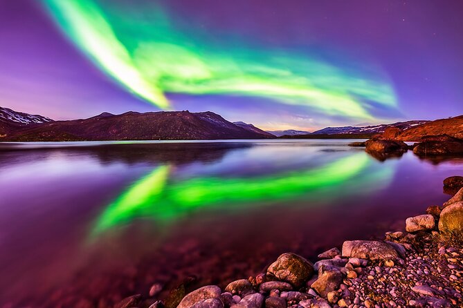 Northern light hunt in Tromsø. WiFi included - Photographing the aurora