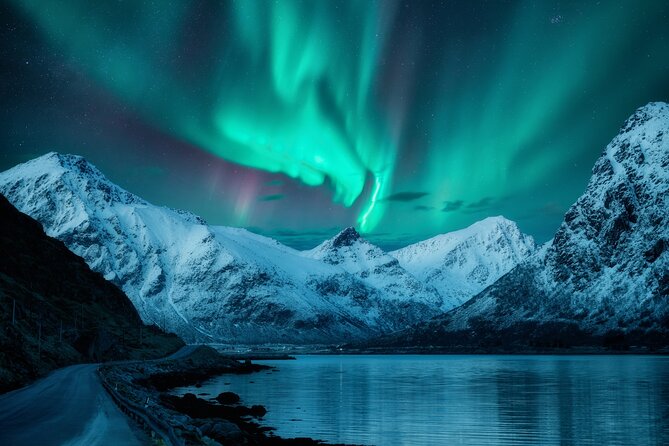 Northern light hunt in Tromsø. WiFi included - Is $182 a fair price?