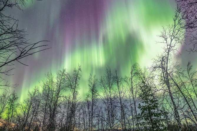 Northern Lights Adventure with Greenlander, 8 people max - The drive from Tromsø to clearer skies