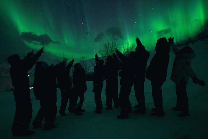 Northern Lights Big Bus Chase with Chasing Lights - Meeting at Tromsø Bus Terminal at 5:20 pm