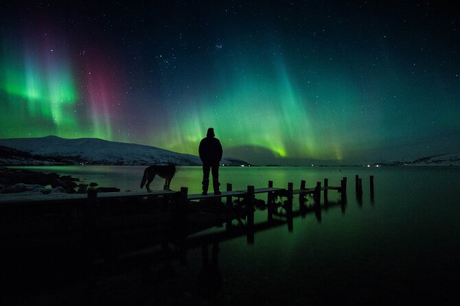 Northern Lights Big Bus Chase with Free Photos - Big bus comfort, group size, and timing