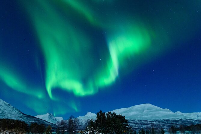 Northern Lights Chase by Bus in Tromso - Chasing clear skies from Tromsø at 6 pm