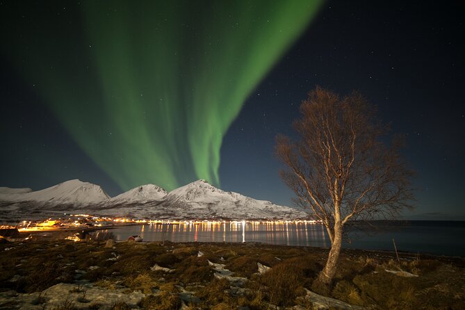 Northern Lights Chase by Bus in Tromso - Coffee, tripods, and what to bring for dinner