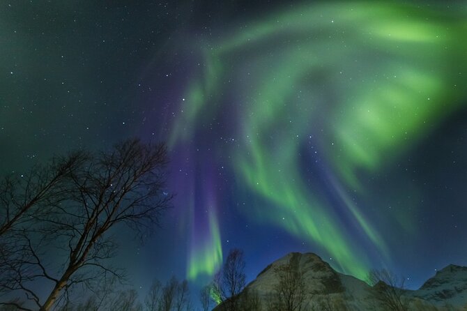 Northern Lights Chase by Bus in Tromso - Who should book this bus chase?
