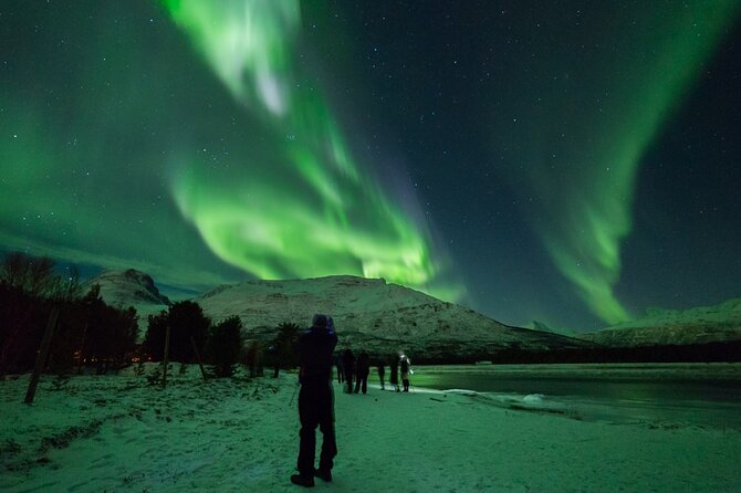 Northern Lights Chase by Bus in Tromso - What the eight-hour itinerary really feels like