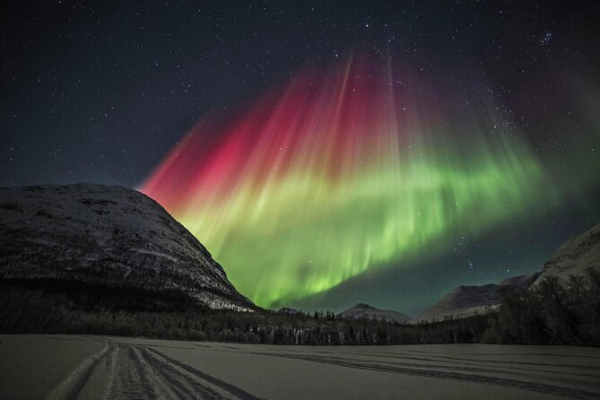 Northern Lights Chase with Photography from Tromsø - What the Tromsø aurora chase is really like