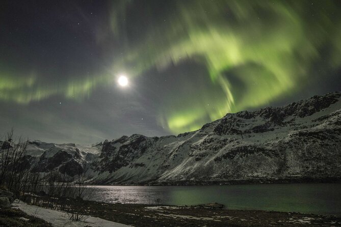 Northern Lights Chase with Photography from Tromsø - Big coach or smaller group, and why it changes the experience