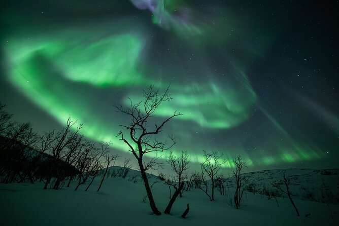 Northern Lights Expedition Tromsø - 6 people - Arctic Photo Guide - Why the chase matters more than a fixed viewpoint