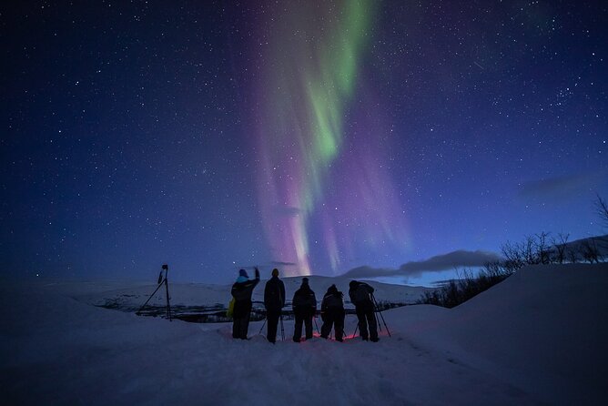 Northern Lights Expedition Tromsø - 6 people - Arctic Photo Guide - Is $296.92 a fair price?