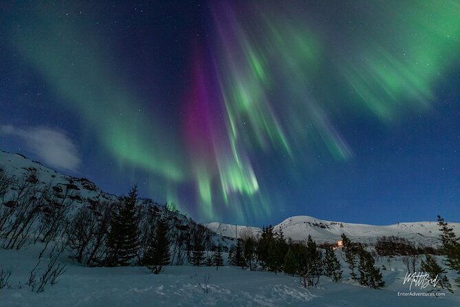 Northern Lights Guided Bus Tour with Free Photos - Key points to know before booking