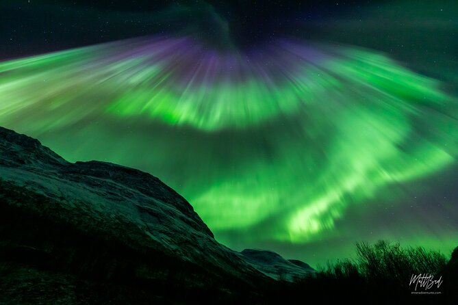 Northern Lights Guided Bus Tour with Free Photos - How the tour handles a disappointing night
