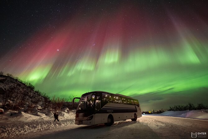 Northern Lights Guided Bus Tour with Free Photos - Searching beyond Tromsø’s city lights