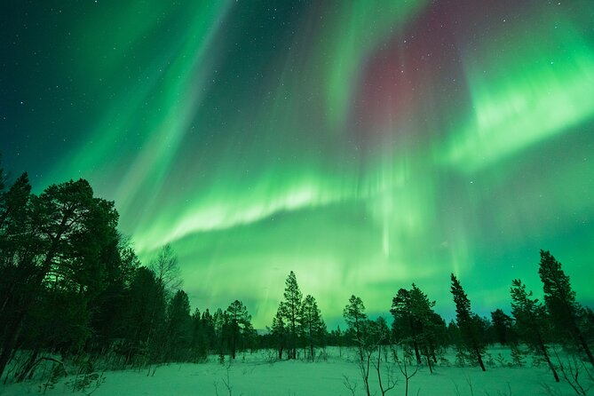 Northern Lights Hunt with The Green Adventure - photos included - Searching 200 kilometers around Tromsø