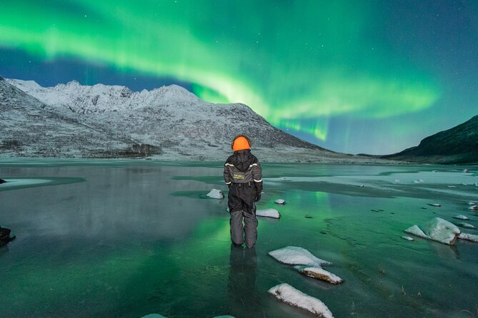 Northern Lights Hunt with The Green Adventure - photos included - The northern lights are not a guaranteed performance