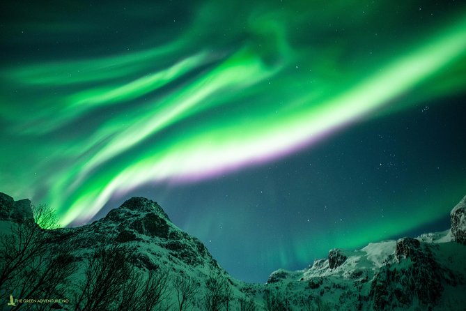 Northern Lights Hunt with The Green Adventure - photos included - Who will enjoy this northern lights hunt most