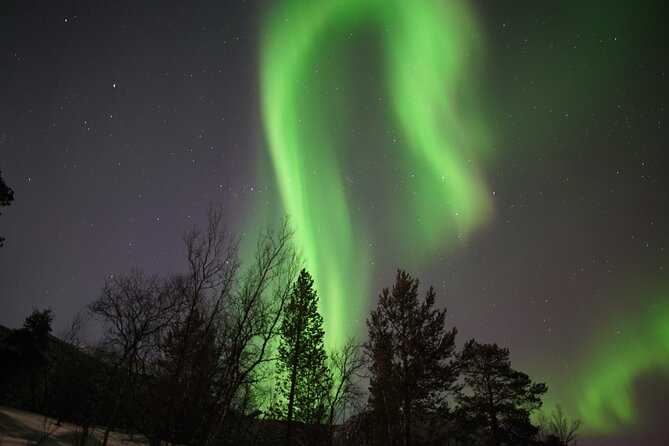 Northern Lights Hunt - Thermal suits, gloves, coffee, and tea